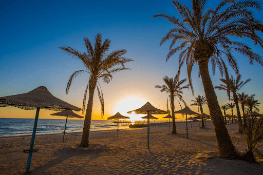 Makadi Bay Travel Guide: Best Hotels, Beaches, and Attractions