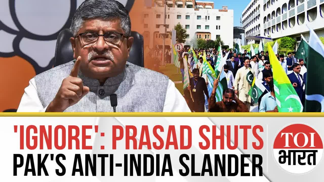 Ravi Shankar Prasad Slams Pak Protesters in Denmark: 'Ignore Desperate Pakistan With Impunity'