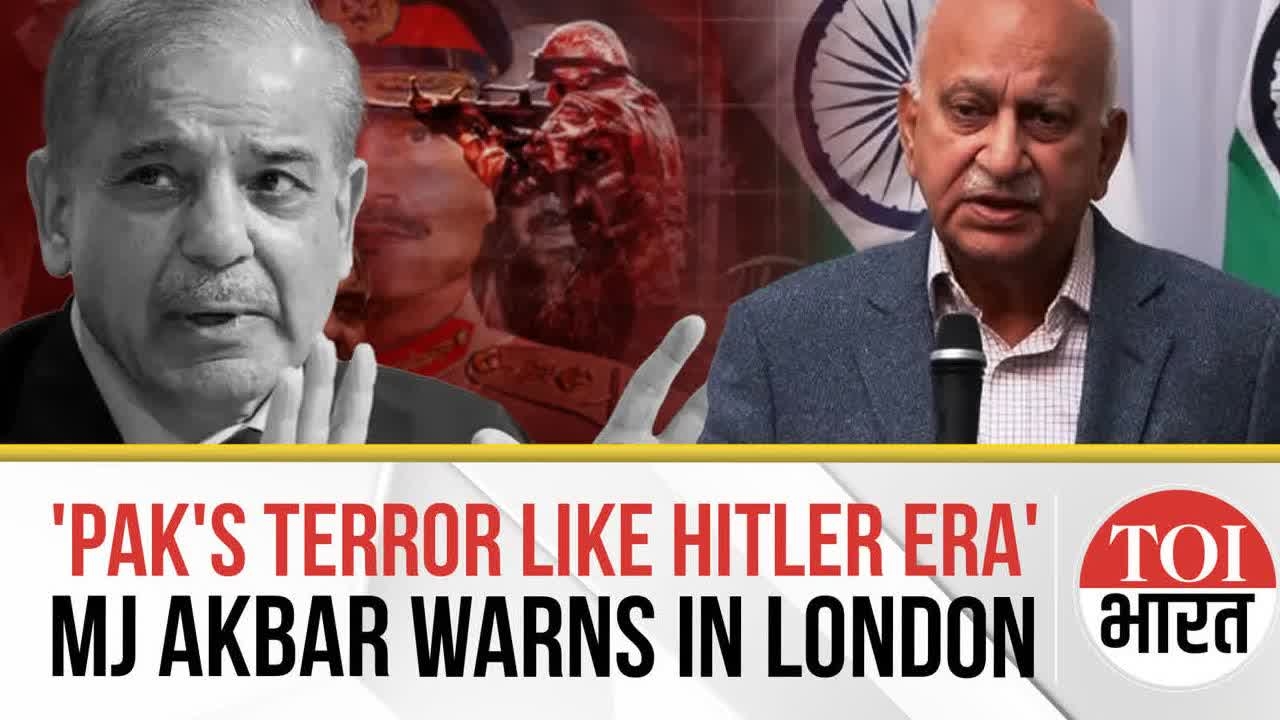 Ex-Union Minister Likens Pak's Terror Support To 'Hitler-Era Fascism' In London