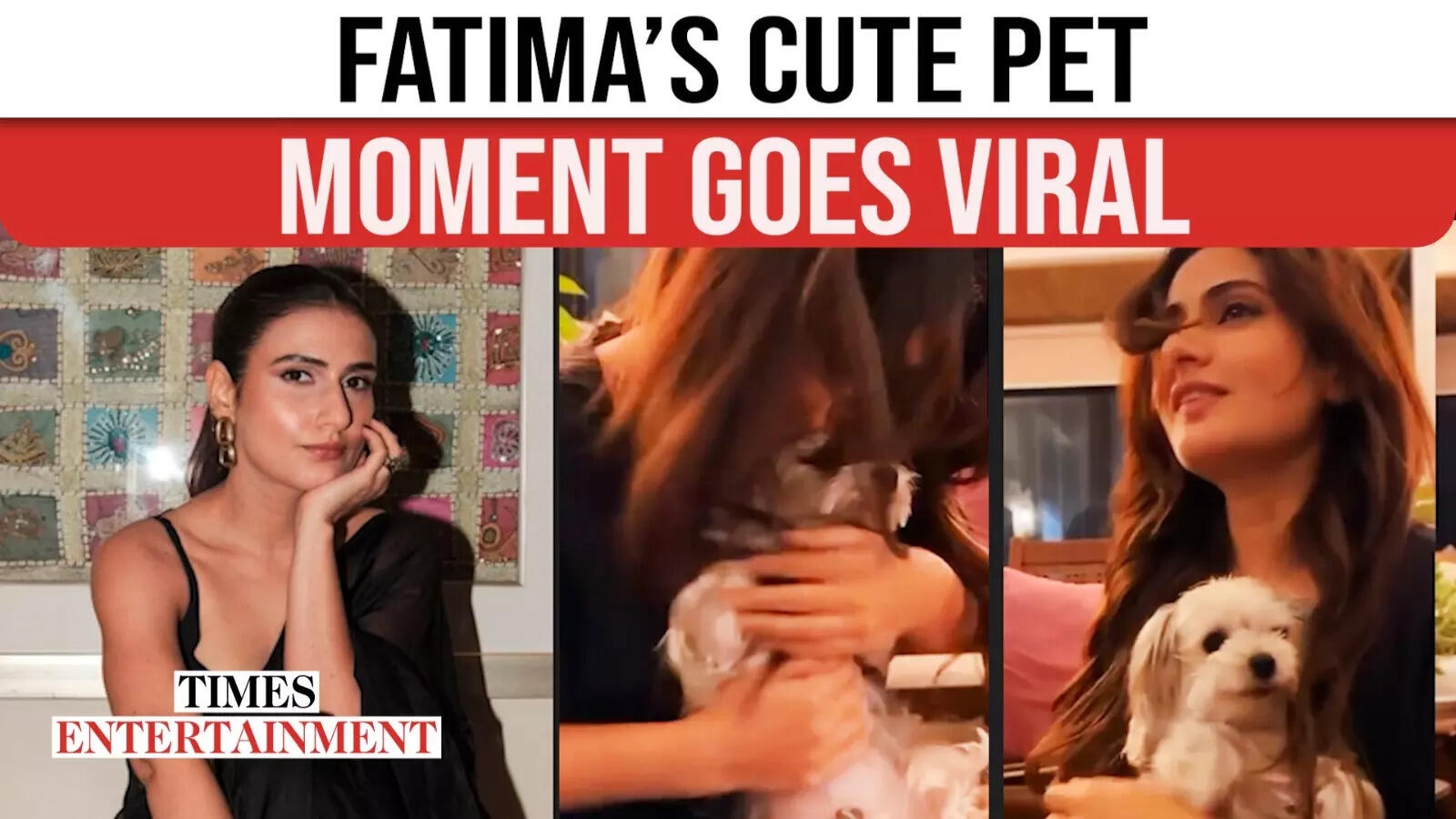 'Dangal' Star Fatima Sana Shaikh's Melts Hearts With Her Pet Bijli