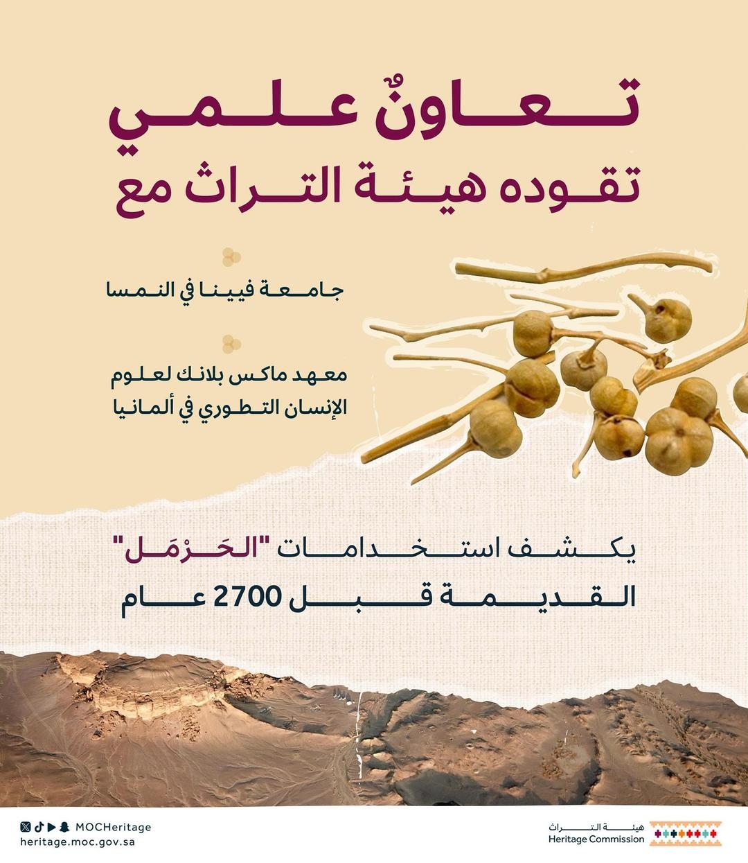 هيئة التراث تكشف عن أقدم استخدام لـ 'الحَرْمَل' قبل 2700 عام