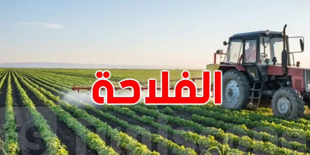 جامعة الفلاحة تدخل في تحركات احتجاجية وتُهدّد بالإضراب