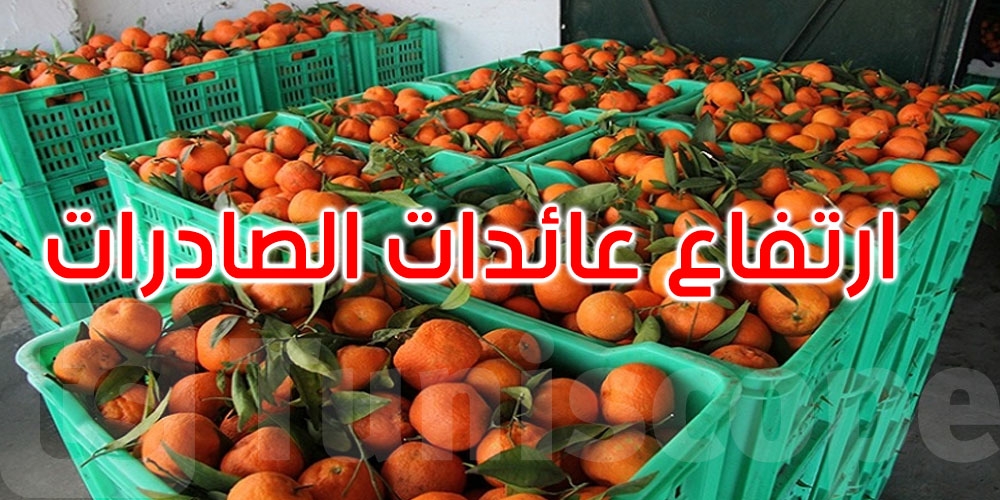 حتى غاية 21 أفريل: ارتفاع عائدات صادرات القوارص بنسبة 16،9 بالمائة