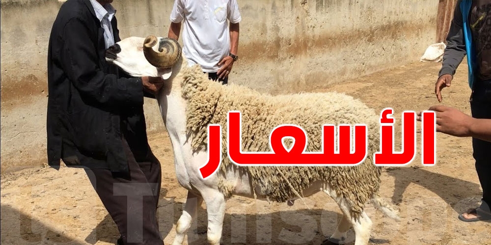 انخفاض أسعار أضاحي العيد في هذه الولاية