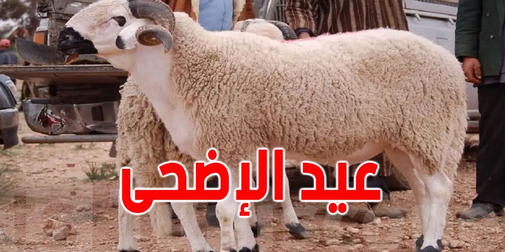 دول تعلن السبت أوّل أيام عيد الأضحى