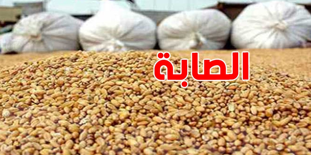 عاجل: نسق تصاعدي في تجميع صابة الحبوب 2025...نحو 18 مليون قنطار