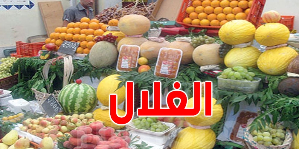 الفلاح يبيع بـ2500 والمواطن يشتري بـ8000: من يربح في سوق الغلال؟