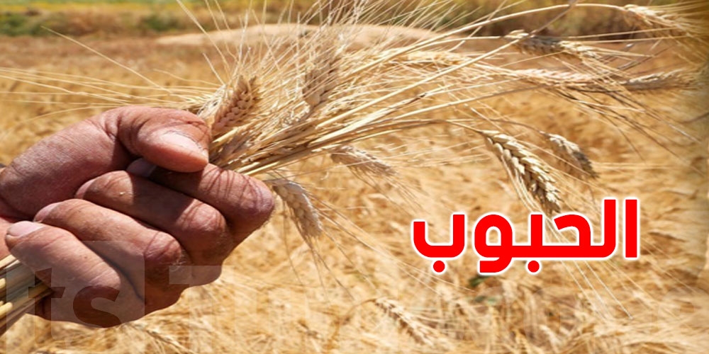ديوان الحبوب: 6 مليون دينار لرقمنة عملية التجميع