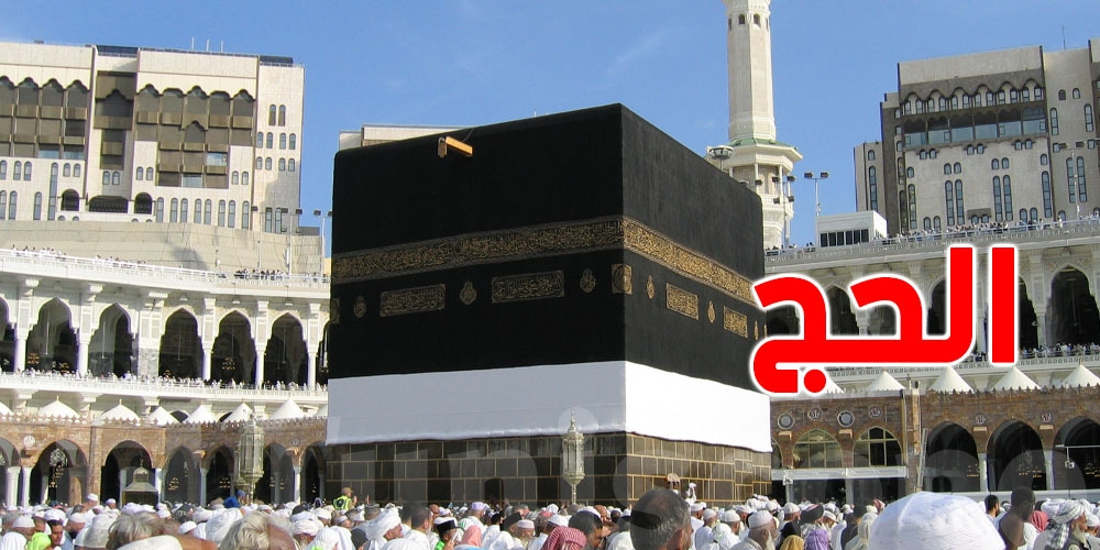 عاجل : يوم القر 2025 ينطلق رسميًا وتوصيات بعدم تجاهله