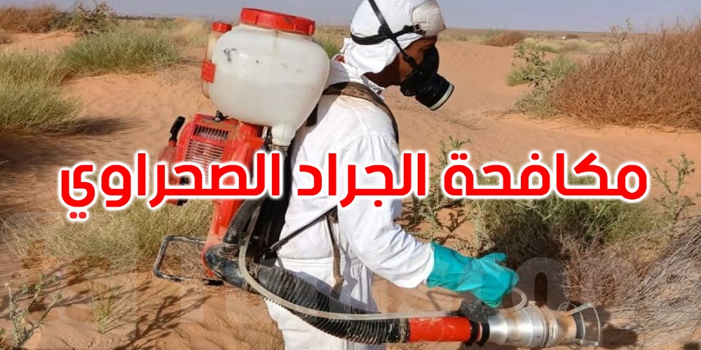 أين وصلت الحملة الوطنية لمكافحة الجراد الصّحراوي بالجنوب التّونسي؟