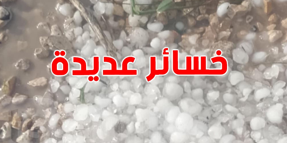 الإدارة الجهوية للفلاحة: البَرَد يدمر آلاف الهكتارات ونسب الأضرار تصل إلى 100٪ في القصرين