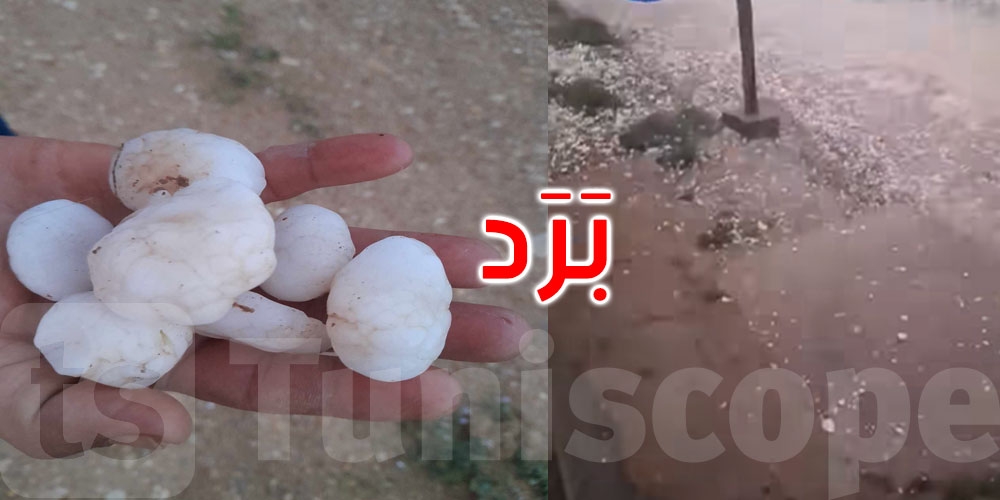 صور: بَرَد كبير الحجم في تالة والقلعة الخصبة