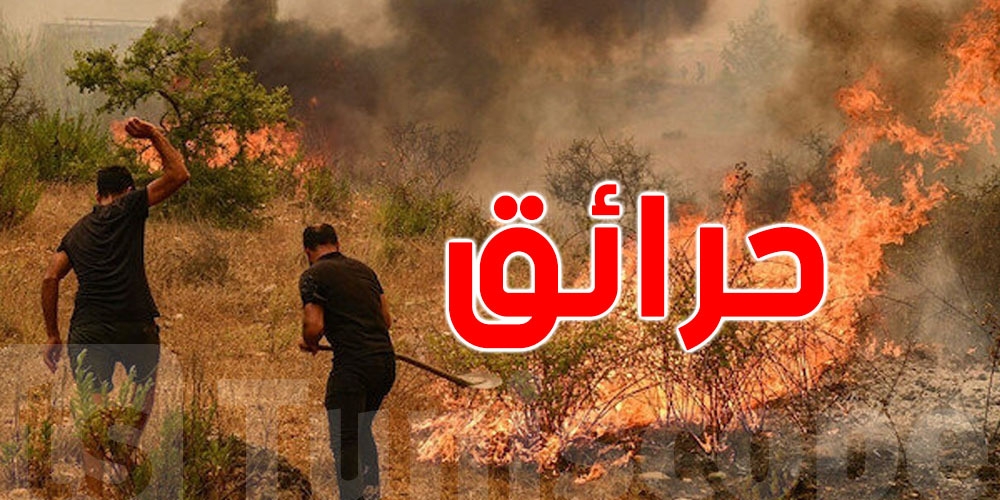 منوبة: إنقاذ محاصيل القمح والشعير من كارثة حقيقية بعد سيطرة فرق الإطفاء على حريقين