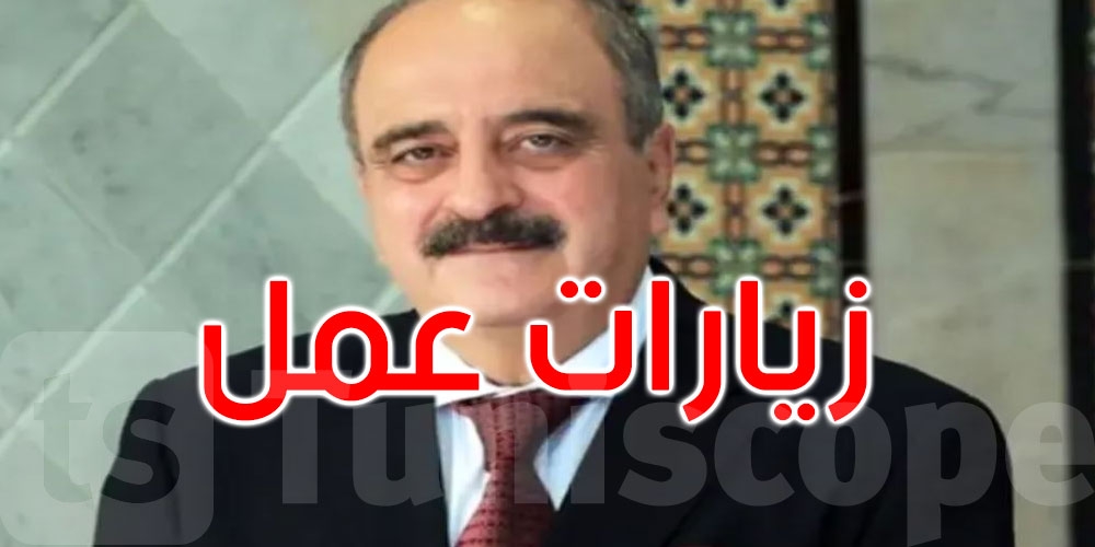 وزير الخارجية يؤدي زيارات عمل لفنلندا والدنمارك والنرويج