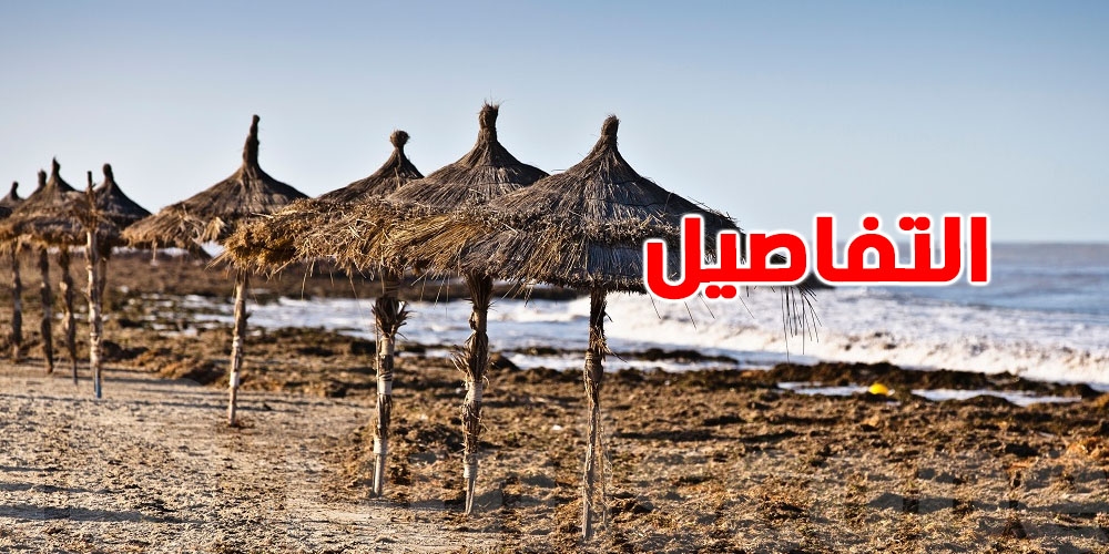 البحر مضطرب.. السباحة ممكنة لكن يلزم الحذر!