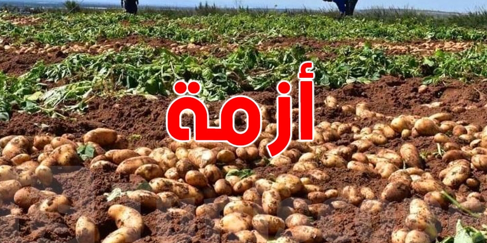 التونسيون قد يُواجهون أزمة ''بطاطا''