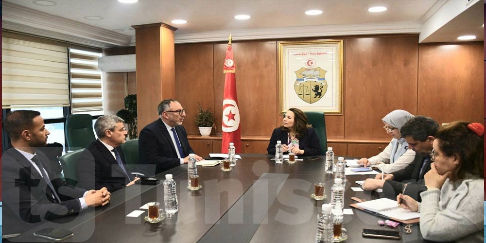 متابعة تقدم إنجاز محطة توليد الكهرباء من الطاقة الشمسية الفولطاضوئية بالقيروان