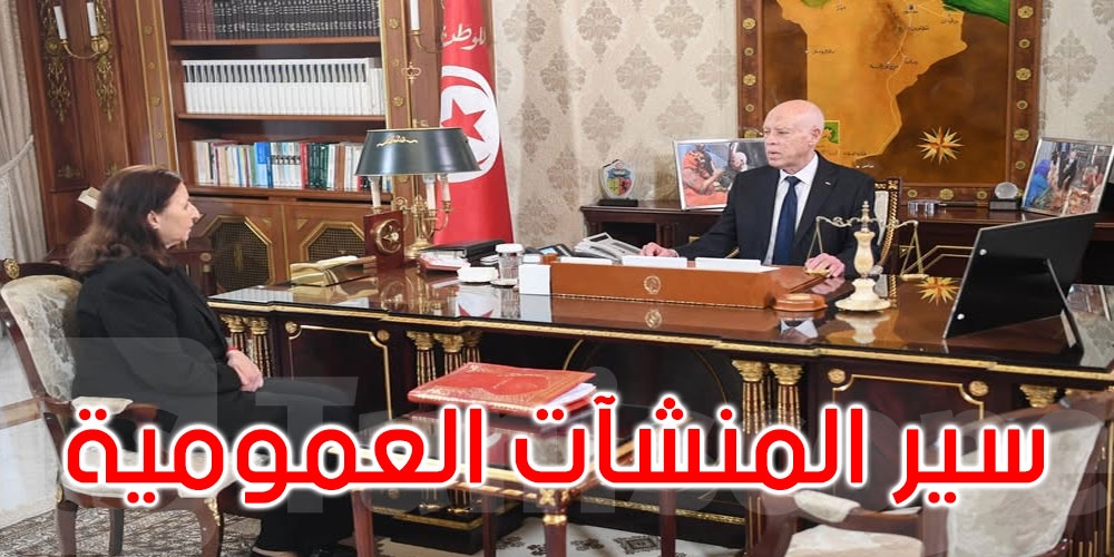 سير عدد من المؤسسات العمومية محور لقاء قيس سعيد برئيسة الحكومة