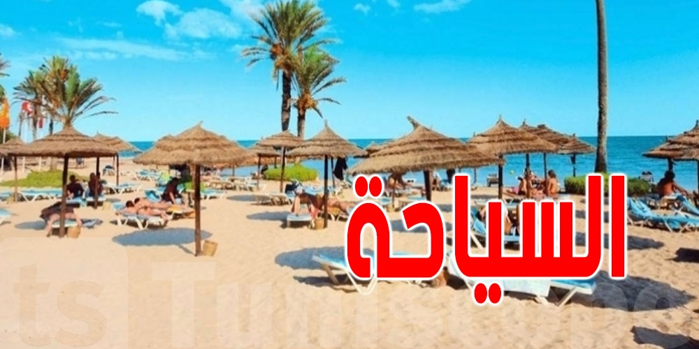 تحويلات التونسيين والسياحة تغطي أكثر من 80٪ من الديون الخارجية