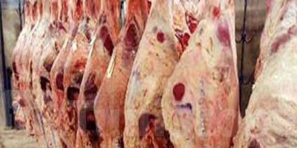 الكاف: تزويد السوق البلدي بلحم الضأن بسعر تفاضلي بـ40 دينارًا للكلغ
