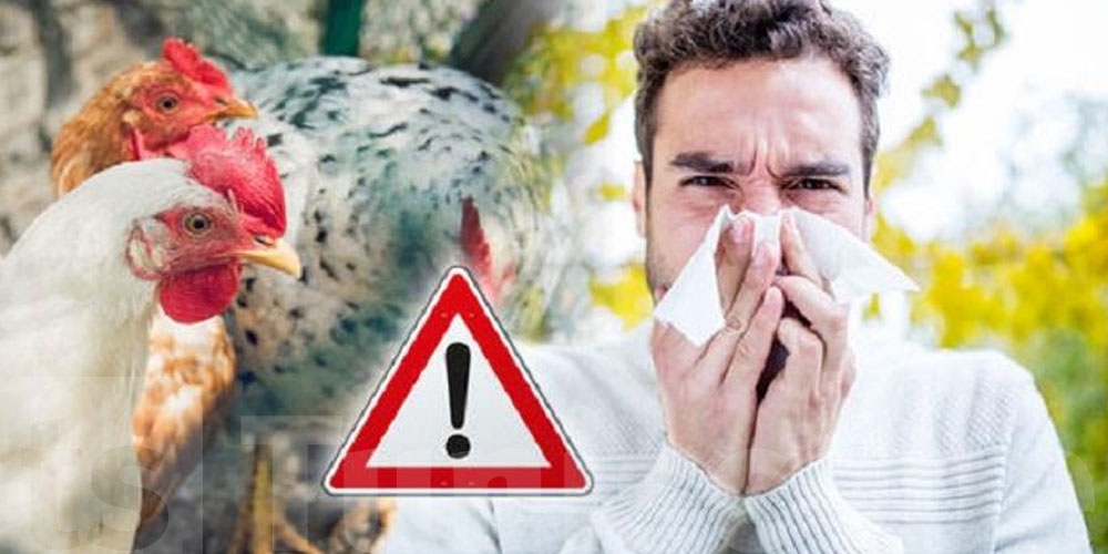 دولة تُسجّل أول حالة وفاة بشرية بسبب إنفلونزا الطيور