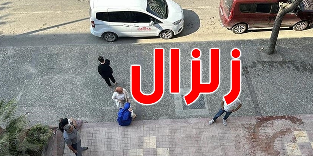 زلزال بقوة 4 درجات يضرب ولاية وان شرق تركيا