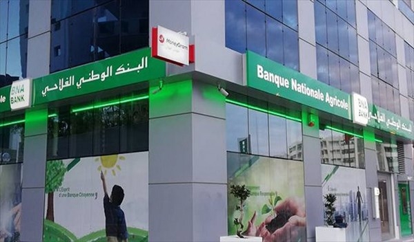 البنك الوطني الفلاحي: كم يبغ حجم الديون الميؤوس من استرجاعها