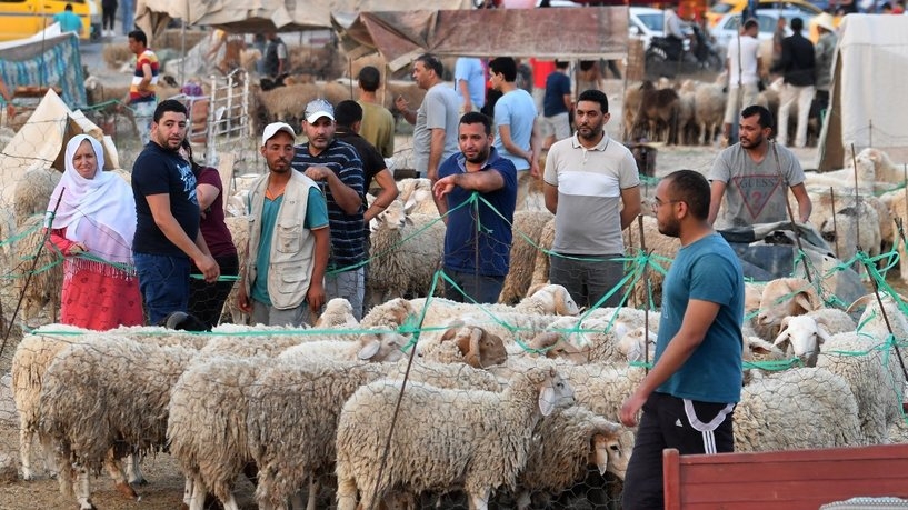 Tunisie Telegraph أضاحي العيد: فلاحو تطاوين يرفضون التسعيرة الجديدة