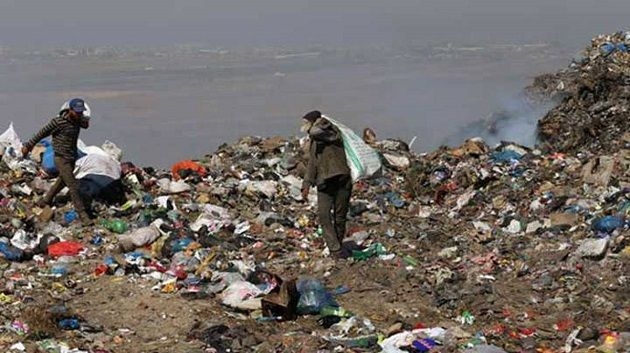 Tunisie Telegraph هذه مداخيل البرباشة في تونس