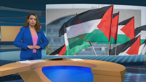 مؤتمر حل الدولتين... هل ستفشله واشنطن؟ – DW – 2025/6/12