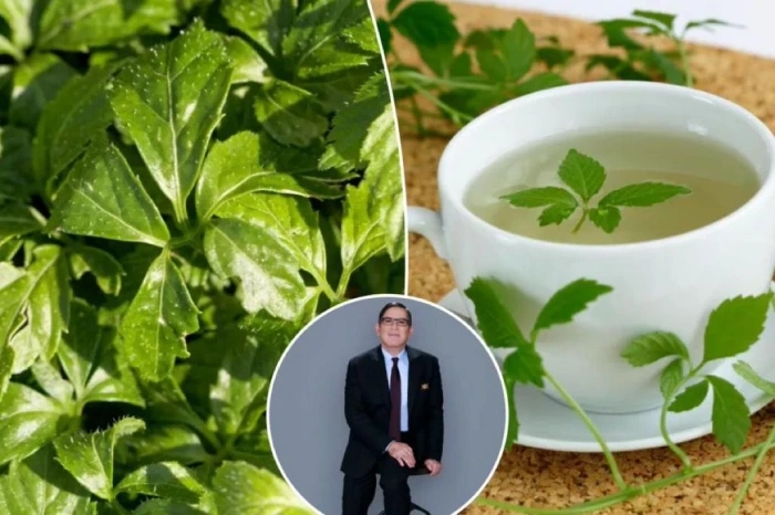 العشبة المعجزة.. باحثون يكشفون عن "شراب" أفضل من الشاي يزيل السموم ويغذي القلب ويحمي الكبد