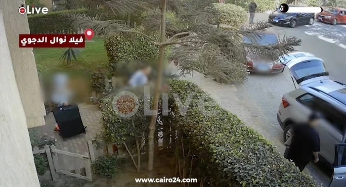 "حقائب ضخمة".. شاهد: أول فيديو لحظة سرقة 15 كيلو ذهب و 50 مليون جنيه من فيلا سيدة الأعمال المصرية نوال الدجوي