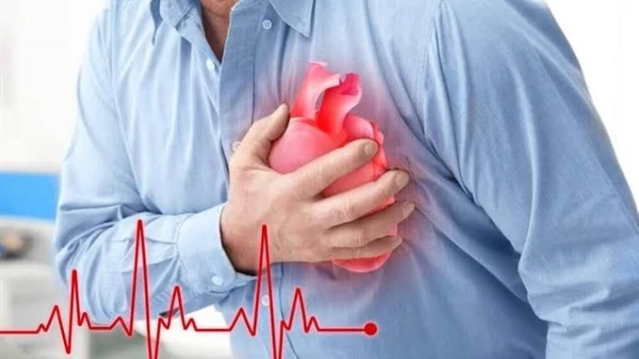 طبيب يكشف عن 6 وجبات إفطار مفيدة لصحة القلب فى الصيف