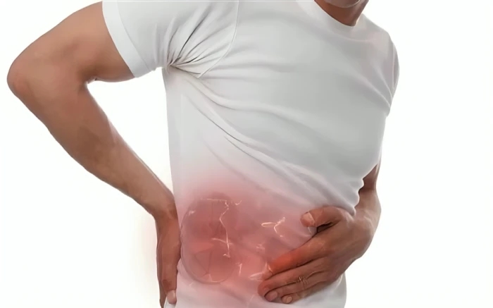 من بينها شاي ذيل الحصان.. الكشف عن علاجات طبيعية  تخلصك من حصوات الكلى