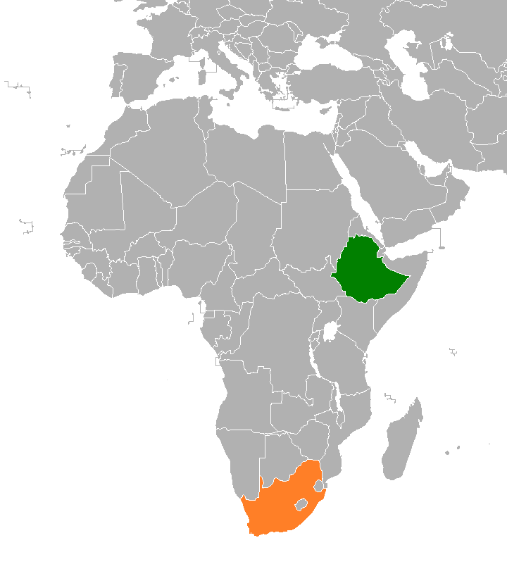 Ethiopia Emerges as Africa's Leading Wheat Producer