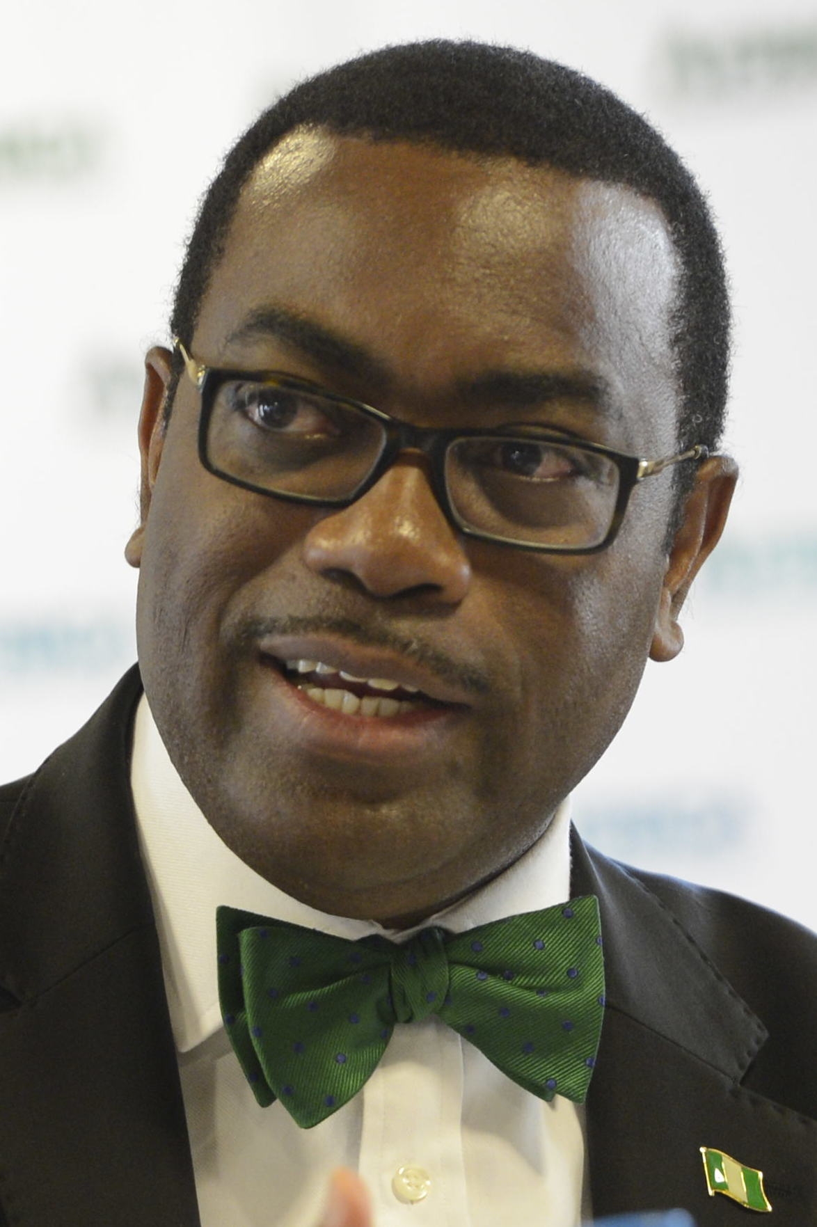 Adesina Urges Successor to Champion Africa's Financial Autonomy