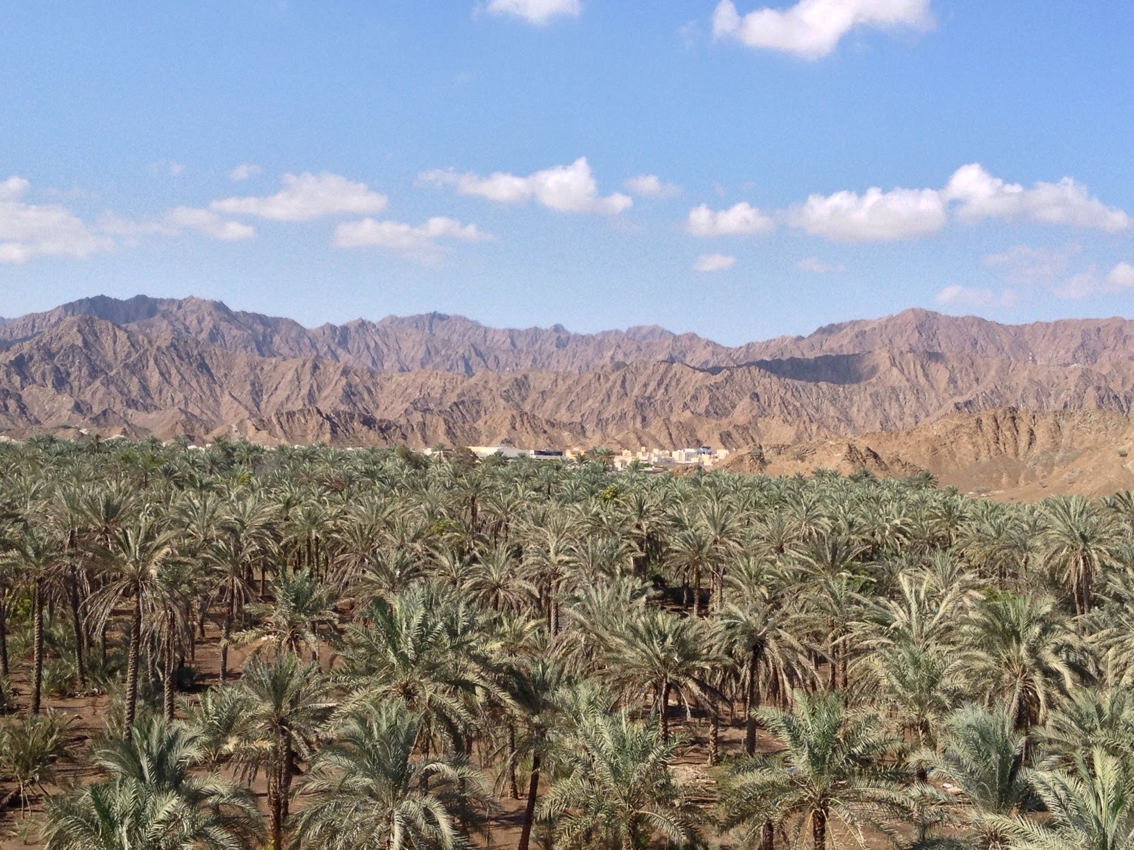 Fujairah Port's Marine Fuel Sales Surge to 14-Month Peak