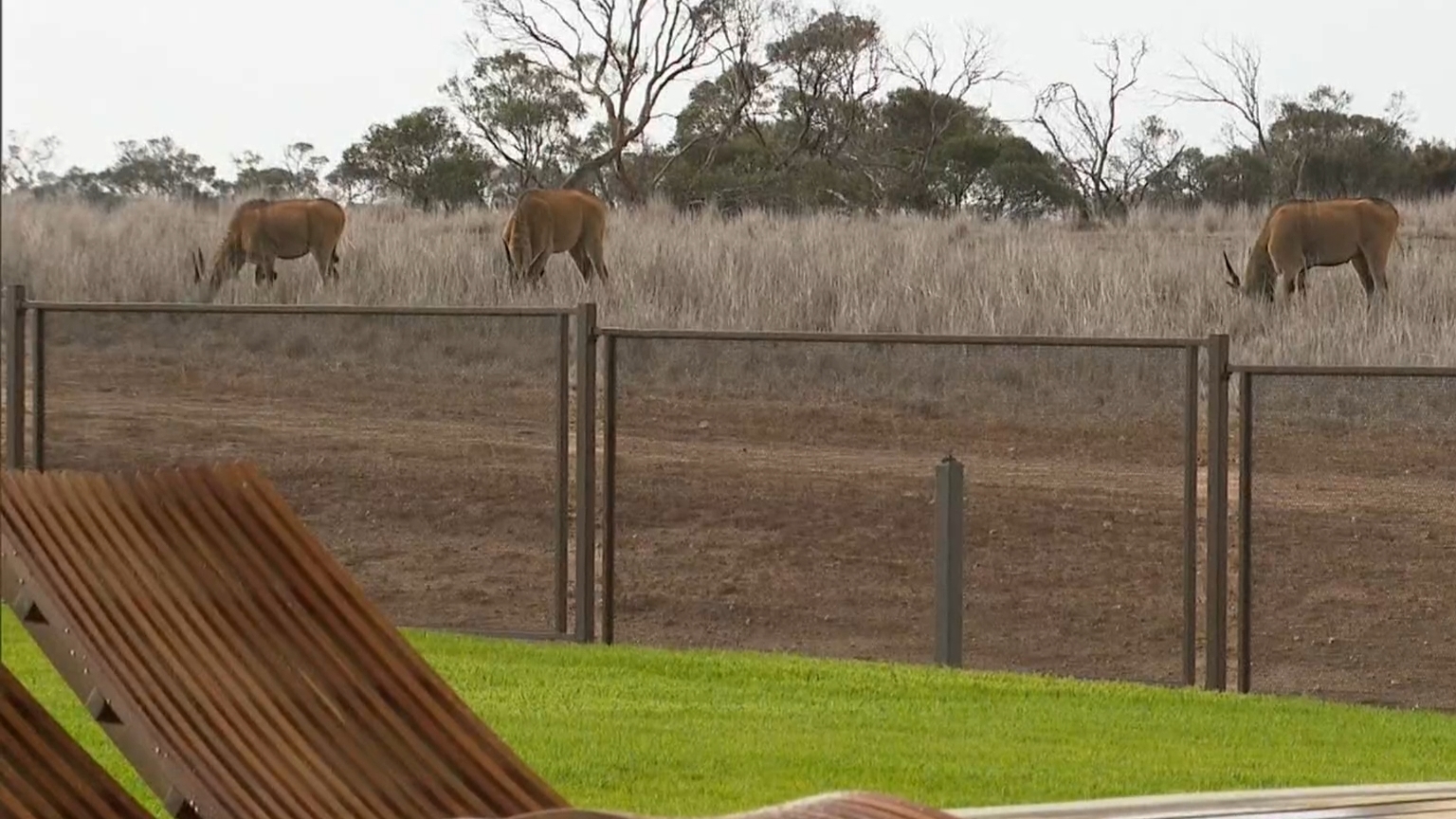 South Australia gets new $40 million safari resort
