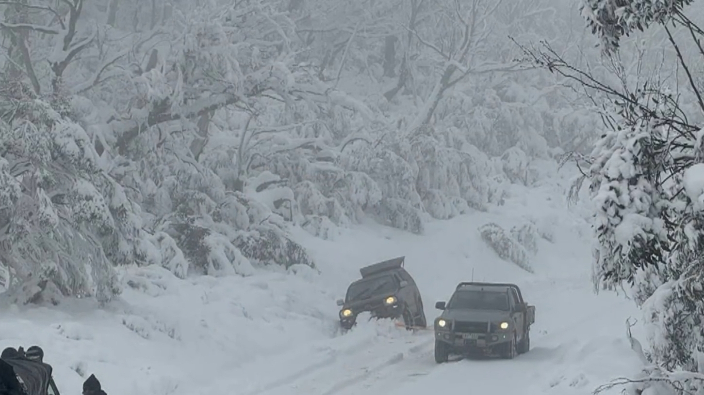 Multiple people rescued after getting stuck in snow