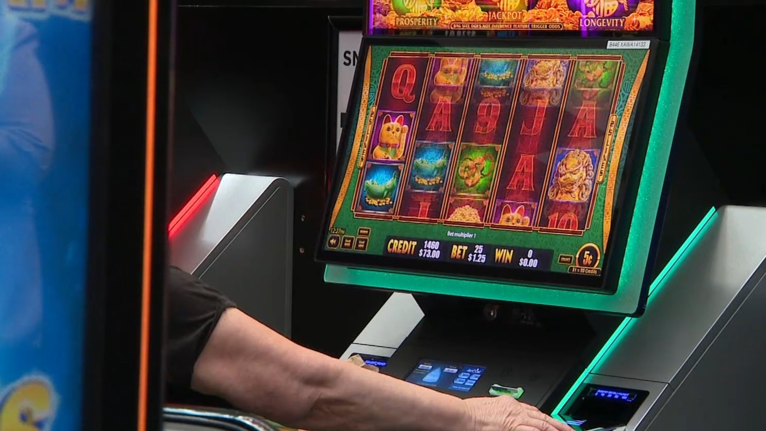 Damning report reveals depth of NSW gambling crisis