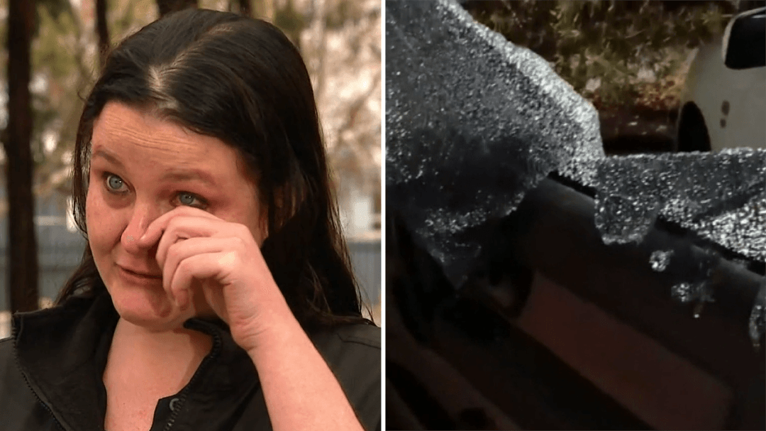 Adelaide couple tell of horrifying road rage incident