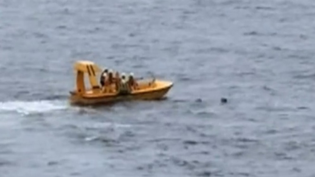 Father and daughter rescued after going overboard on Disney cruise ship