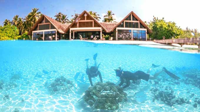 Milestone Moment as Four Seasons Resorts Maldives Plant 9000th Coral Frame