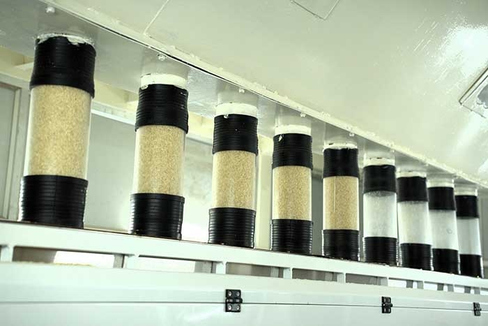 Gautam Rice pioneers' artificial intelligence technologies to ensure optimum grain uniformity and purity