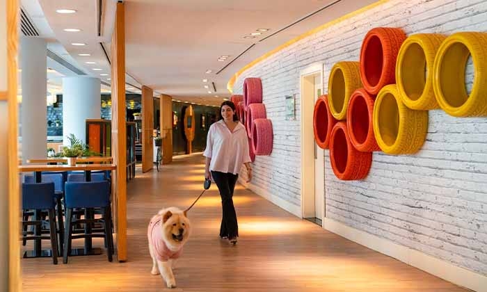 Park Inn by Radisson Dubai Motor City is Now Pet-Friendly