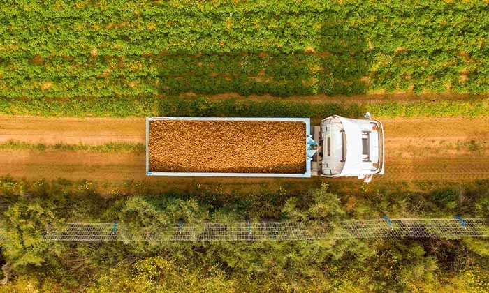 University of Sharjah and IBM launch My FarmWell Mobile App to Promote Sustainable Agriculture in Water-Stressed Regions