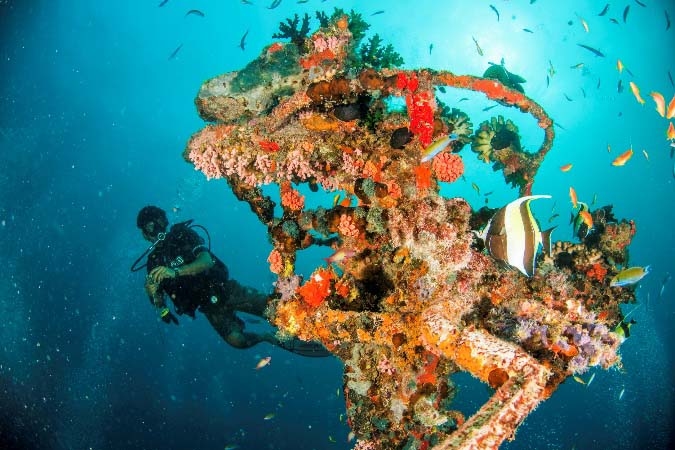 Consistently Awarded, Beyond Compare: The House Reef at Machchafushi Island Resort and Spa, The Centara Collection