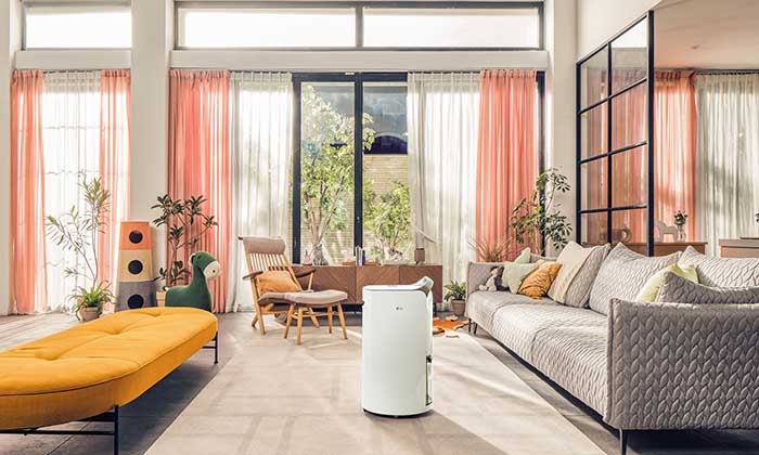Combat Humidity with LG's Smart Dehumidifiers for a Cooler, Healthier Home