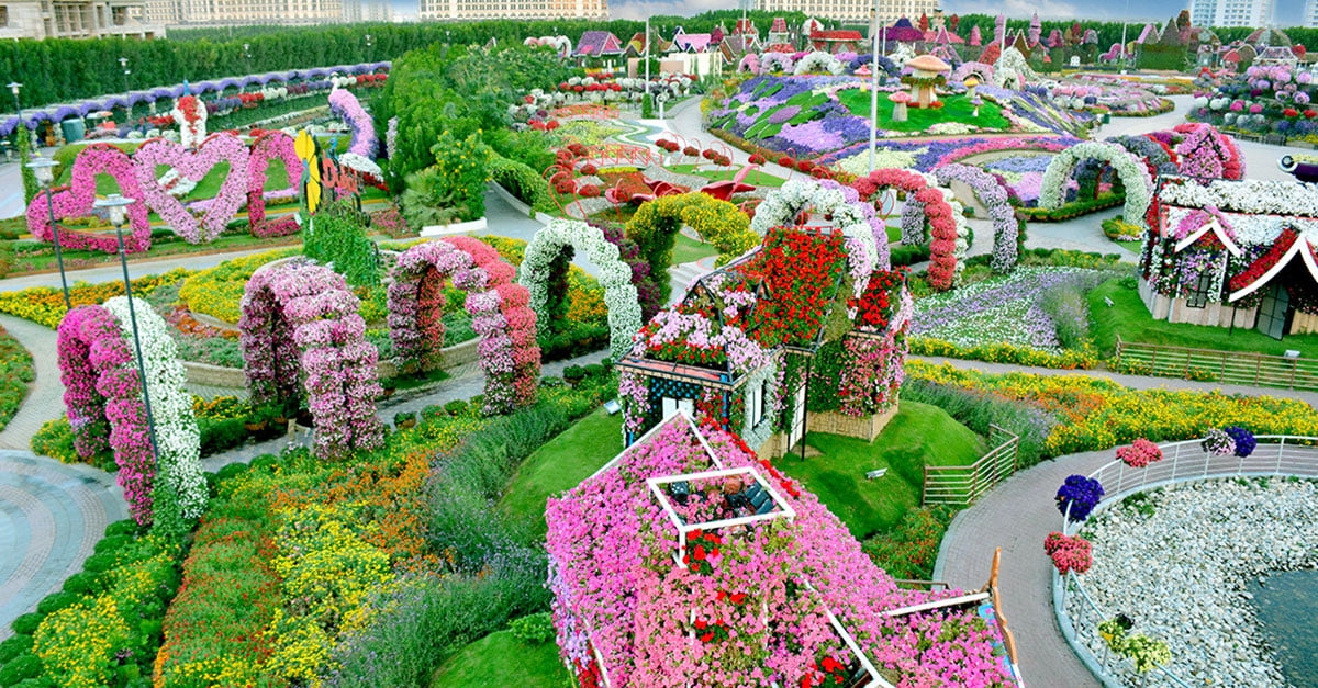 Last chance: Dubai Miracle Garden closes its doors next week
