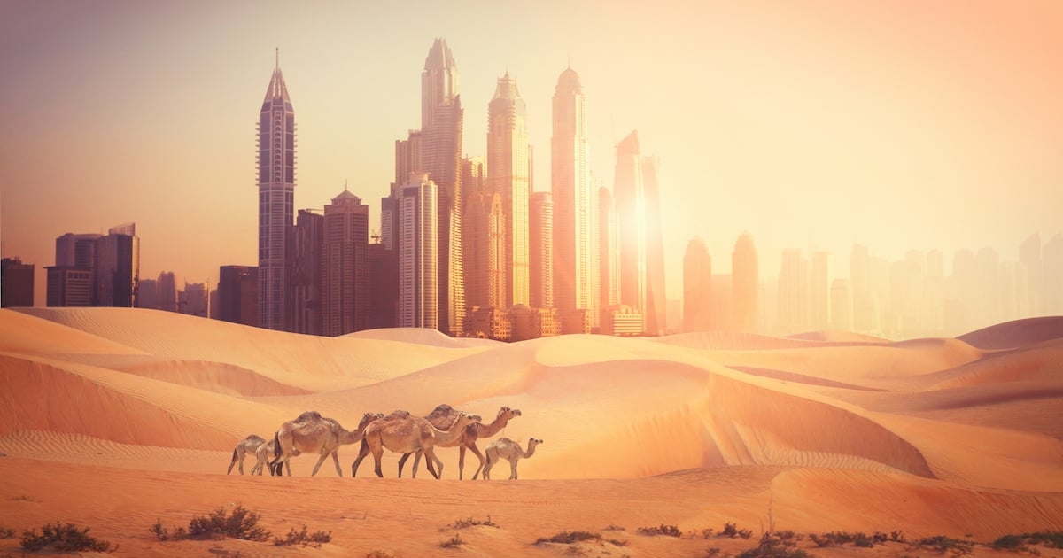 20 of the best things to do in Dubai under Dhs50